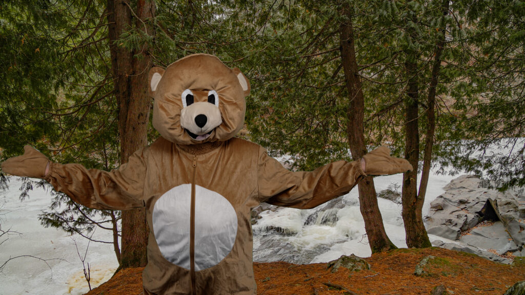 Bear costume in the woods